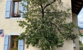 Sortie d'automne 2026 à Môtiers