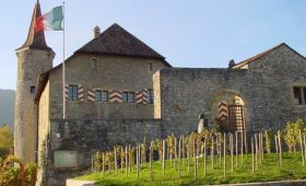 Sortie d'automne 2021 au Château de Boudry